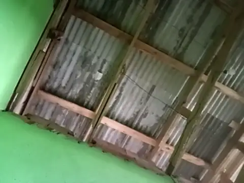 juniordotado87 online show from 10, 1, 2026