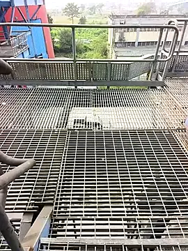 gorai55555 online show from 26, 10, 2025