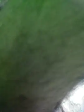 Morbosnif online show from 6, 1, 2026