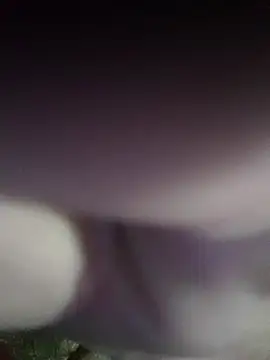 Morbosnif online show from 2, 11, 2025