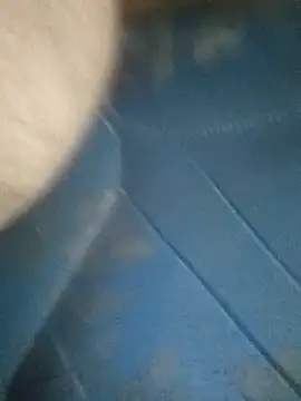 Morbosnif online show from 4, 11, 2025