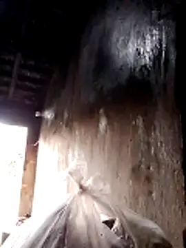 Fucksquirt2k online show from 24, 10, 2025