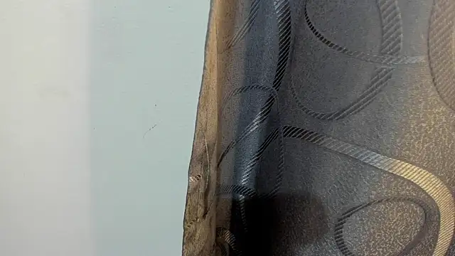 Lotto bloom online show from 14, 1, 2026