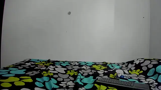 Lotto bloom online show from 14, 11, 2025