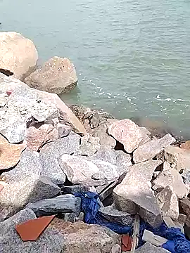 BruninhoRecife online show from 14, 11, 2025