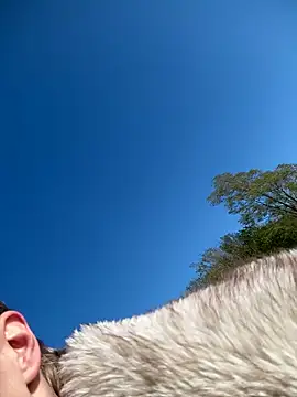 Lilbratofficial online show from 15, 4, 2026