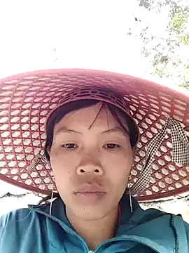 dinnavi online show from 31, 10, 2025