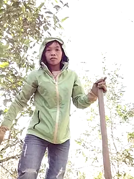 dinnavi online show from 25, 11, 2025