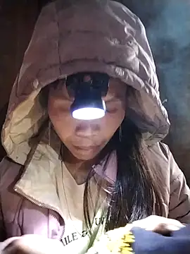 dinnavi online show from 2, 11, 2025