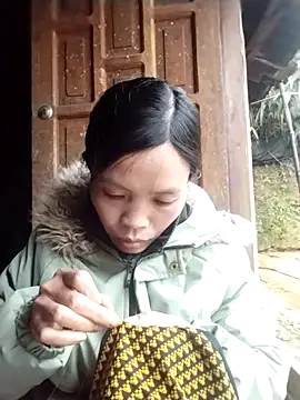 dinnavi online show from 19, 11, 2025