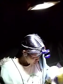 dinnavi online show from 24, 11, 2025