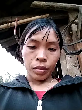 dinnavi online show from 28, 10, 2025