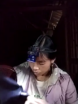 dinnavi online show from 3, 11, 2025