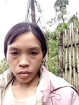 dinnavi online show from 7, 11, 2025