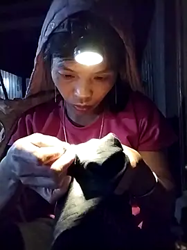 dinnavi online show from 10, 11, 2025