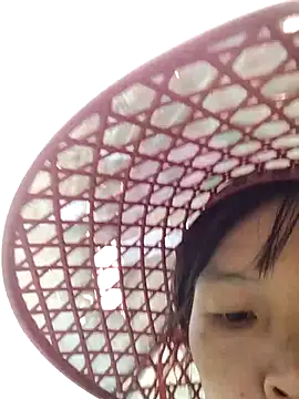 dinnavi online show from 24, 10, 2025