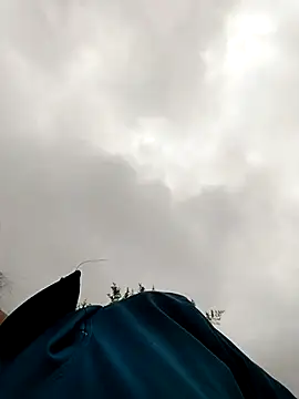 dinnavi online show from 27, 10, 2025