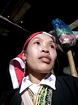 dinnavi online show from 5, 11, 2025