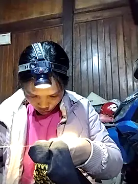 dinnavi online show from 9, 11, 2025