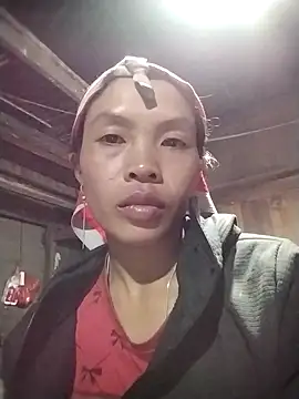 dinnavi online show from 16, 11, 2025