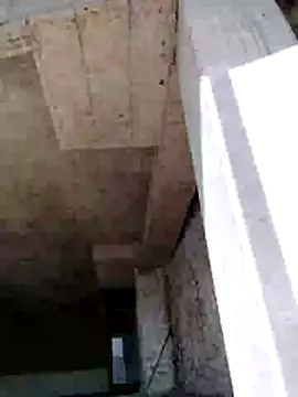 dinnavi online show from 27, 11, 2025