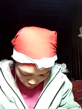 dinnavi online show from 29, 11, 2025