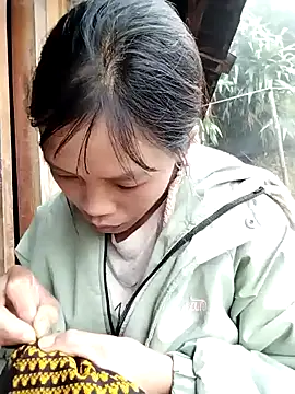 dinnavi online show from 13, 11, 2025