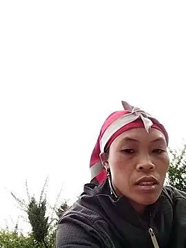 dinnavi online show from 20, 11, 2025