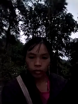 dinnavi online show from 29, 10, 2025