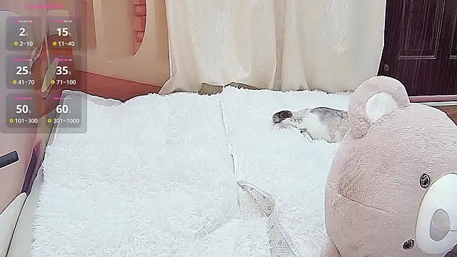 Dinan-y online show from 13, 1, 2026