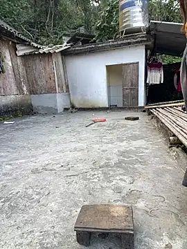 nachi-baby online show from 15, 12, 2025