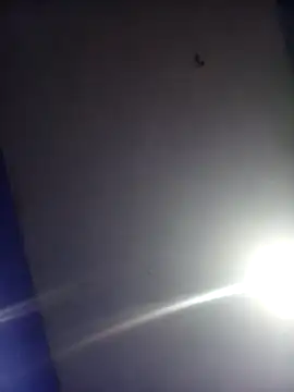 HSexy Men00 online show from 26, 11, 2025