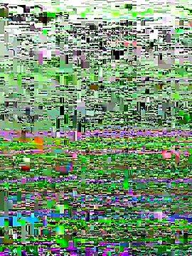 perfectguy4u online show from 28, 10, 2025