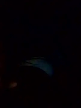 Poonam12A online show from 6, 2, 2026