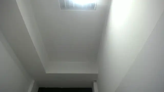 velvetvixen t online show from 21, 12, 2025