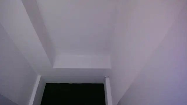 velvetvixen t online show from 20, 12, 2025