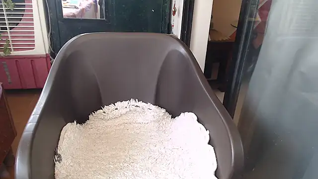 TABOOBREAKERS online show from 10, 3, 2025