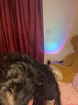 wetbyAlice online show from 20, 2, 2026