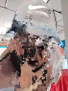 LAPOTRA 04 online show from 1, 4, 2026