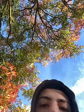 slimshadypt2 online show from 10, 11, 2025