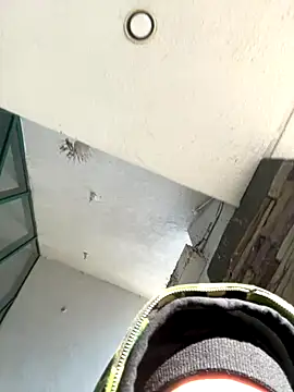 slimshadypt2 online show from 21, 11, 2025