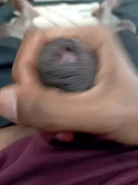 16Hose online show from 25, 3, 2026