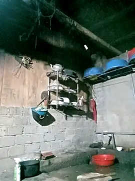 Noelle-e online show from 20, 3, 2026