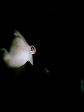 Snapshot of Noelle-e chatting on 14, 2, 2026 Noelle-e online show from 14, 2, 2026