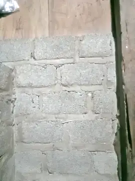 Noelle-e online show from 12, 4, 2026