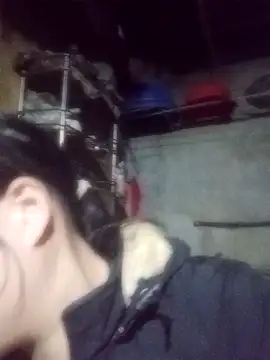 Snapshot of Noelle-e chatting on 3, 2, 2026 Noelle-e online show from 3, 2, 2026