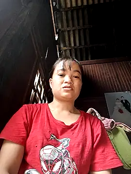 Noelle-e online show from 30, 10, 2025