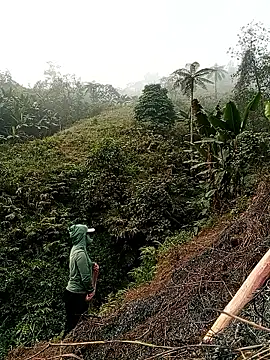 Phoena-a online show from 21, 3, 2026