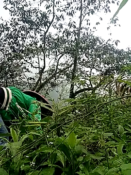 Phoena-a online show from 24, 3, 2026