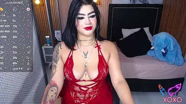 ZALLYWESTER online show from 6, 11, 2025